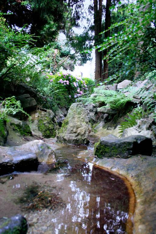 B&B La Source Fleurie Profondeville Bagian luar foto